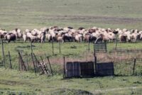 ΠΝΠ για ενίσχυση του πρωτογενούς τομέα