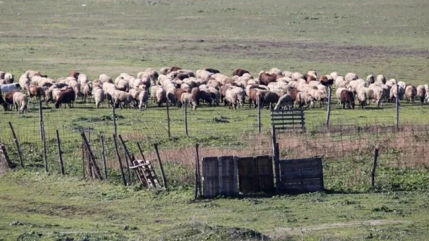 ΠΝΠ για ενίσχυση του πρωτογενούς τομέα