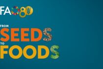 Από το σπόρο στο πιάτο: Ο FAO γιορτάζει στη Ρώμη