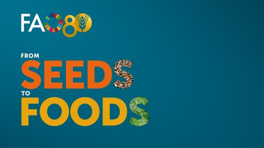 Από το σπόρο στο πιάτο: Ο FAO γιορτάζει στη Ρώμη