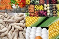 Αγροτικά προϊόντα σε τιμές ντροπής