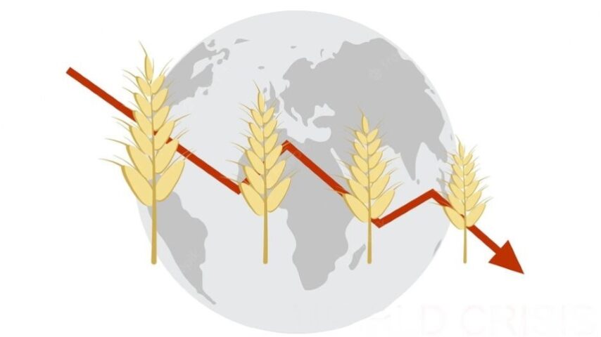 Πτώση τιμών αγροτικών προϊόντων Οκτώβριο 2025