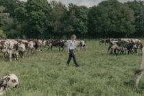 Πίεση χωρίς ανάσα για αγρότες- Παράγουν ακριβά, πουλούν φθηνά