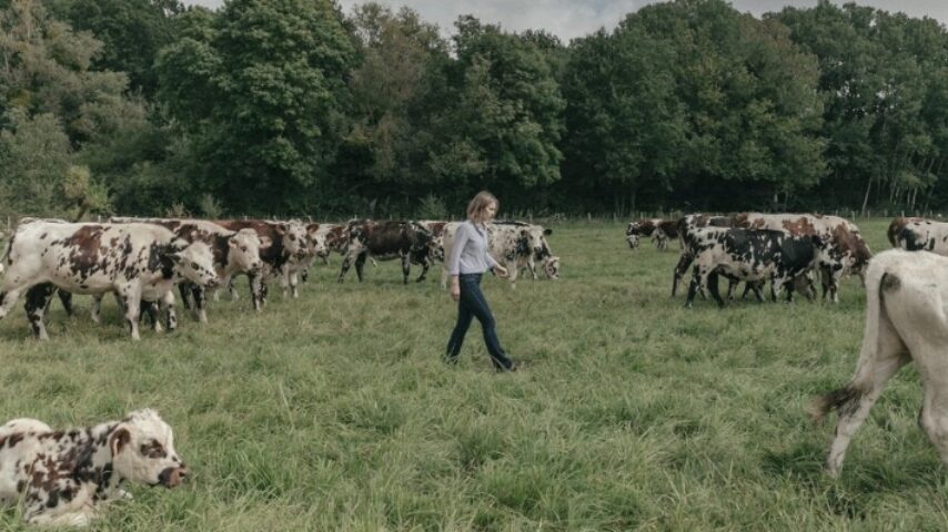 Πίεση χωρίς ανάσα για αγρότες- Παράγουν ακριβά, πουλούν φθηνά