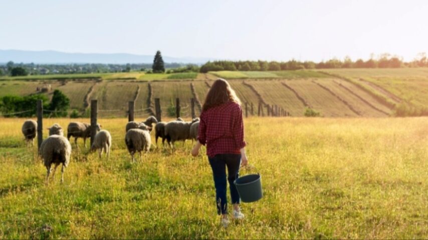 Nέος αναπτυξιακός φορέας αγροτών στη Μεσαρά