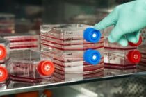 Ουγγαρία και Ιταλία μπλοκάρουν το εργαστηριακό κρέας