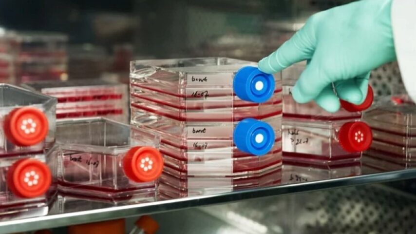 Ουγγαρία και Ιταλία μπλοκάρουν το εργαστηριακό κρέας