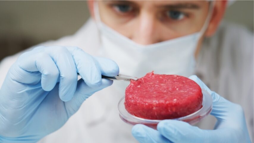 Καλλιεργημένο κρέας: Το μεγάλο «ναυάγιο» – ποιοι χάνουν και γιατί