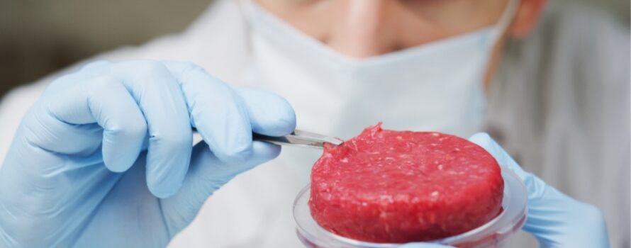 Καλλιεργημένο κρέας: Το μεγάλο «ναυάγιο» – ποιοι χάνουν και γιατί