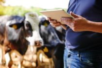 Βιολογικά τέλος – χρήματα αλλού