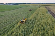 Παράταση «ανάσας» ή προσωρινό μπάλωμα για τους αγρότες;