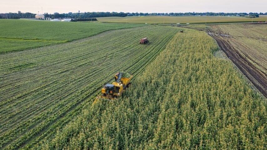 Παράταση «ανάσας» ή προσωρινό μπάλωμα για τους αγρότες;