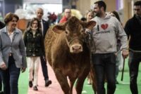 Γαλλία: Χωρίς βοοειδή η κορυφαία έκθεση SIA’PRO