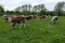 Συνδεδεμένες πριν από το Πάσχα