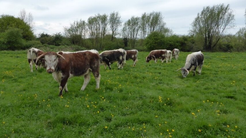Συνδεδεμένες πριν από το Πάσχα