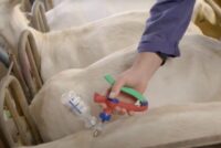 Η Εθνική Επιστημονική Επιτροπή για την ευλογιά απαντά στην ΕFSA για τους εμβολιασμούς