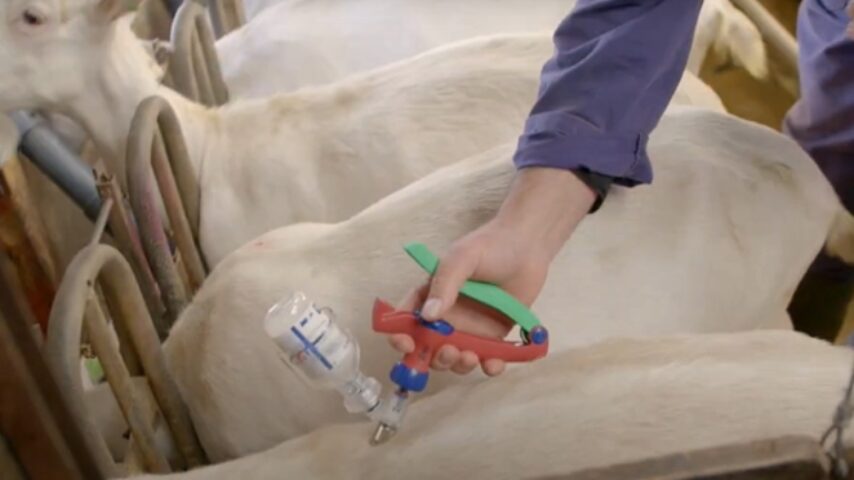 Η Εθνική Επιστημονική Επιτροπή για την ευλογιά απαντά στην ΕFSA για τους εμβολιασμούς