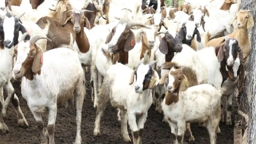 Tράπεζα γενετικού υλικού σε κρίσιμη ώρα