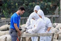 ΠΟΓΕΔΥ: Στον δρόμο με αγρότες