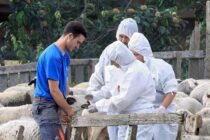 ΠΟΓΕΔΥ: Στον δρόμο με αγρότες