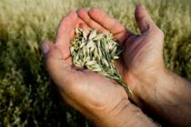 Η γεωργία κρατά όρθια την Ελλάδα