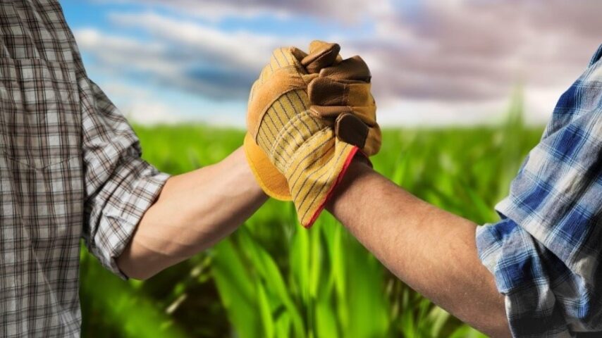 Συναγερμός σε αγροτικούς συνεταιρισμούς