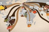 Όταν το φαγητό γίνεται όπλο