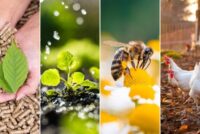 Βιώσιμη γεωργία: το ευρωπαϊκό στοίχημα