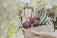 Βραβεία Βιολογικής Γεωργίας 2026