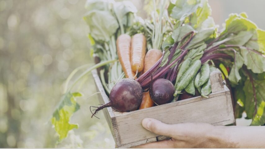 Βραβεία Βιολογικής Γεωργίας 2026