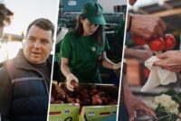 Ε.Ε.: Ισχυρότεροι αγρότες στην αγορά τροφίμων