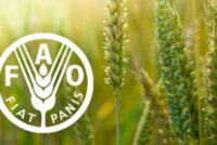 FAO: Παγκόσμια απογραφή γεωργίας 2030