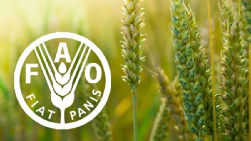 FAO: Παγκόσμια απογραφή γεωργίας 2030