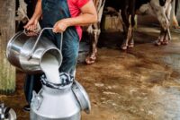 Βελόπουλος Vs ΥΠΑΑΤ για το γάλα