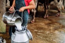 Βελόπουλος Vs ΥΠΑΑΤ για το γάλα