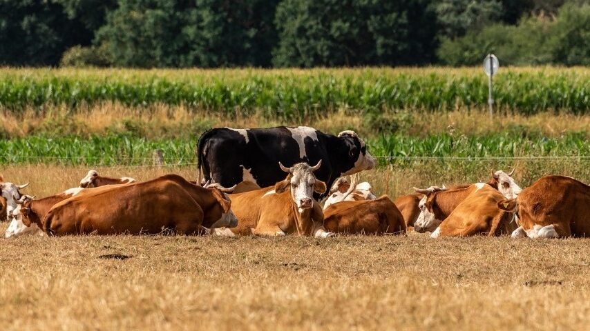 17 κρούσματα στη Λέσβο – 4 νέα επιβεβαιώθηκαν