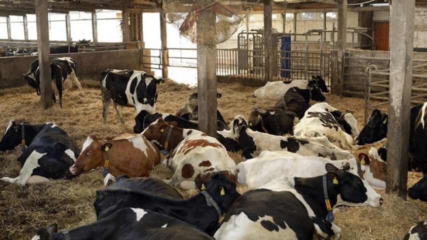 Οκτώ νέα κρούσματα στη Λέσβο και σκληρά μέτρα