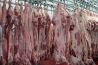 Σκιά επιδοτήσεων στην αγορά αρνιού