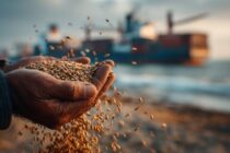 Κ. Αρβανίτης: Ο πόλεμος στο Ιράν φέρνει ακρίβεια τροφίμων