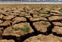 Το Ελ Νίνιο απειλεί τις τιμές τροφίμων παγκοσμίως