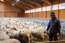 550 εκατ. ευρώ για αγρότες και κτηνοτρόφους