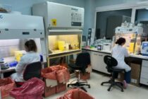 Λάρισα: Ρεκόρ ελέγχων για την αγορά κρέατος