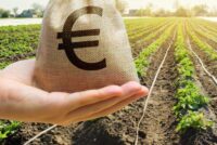 Πληρωμές με νέες καθυστερήσεις – Πάει πίσω το πακέτο ενισχύσεων