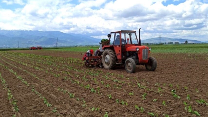 FAO: Η αγροτική γη στους λίγους
