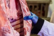 Χανιά: Εντατικοί έλεγχοι πριν από το Πάσχα – Στήριξη της τοπικής αγοράς