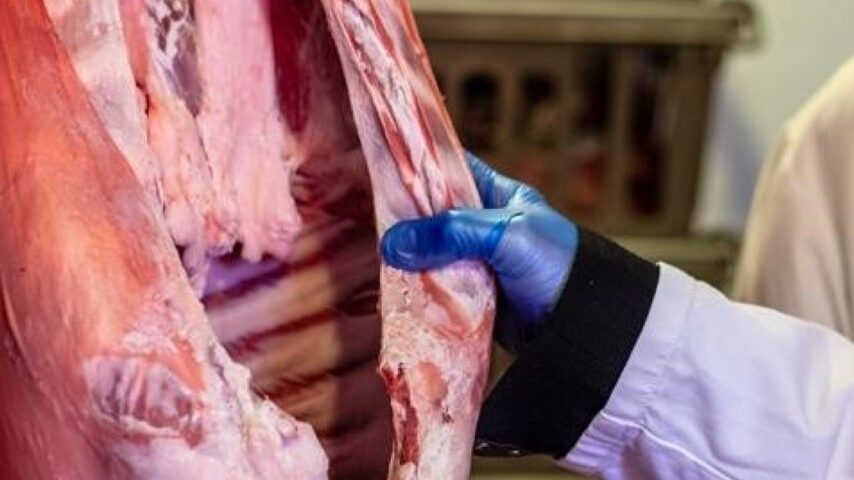 Χανιά: Εντατικοί έλεγχοι πριν από το Πάσχα – Στήριξη της τοπικής αγοράς