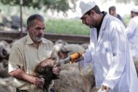 Προσλήψεις-«εξπρές» για την ευλογιά