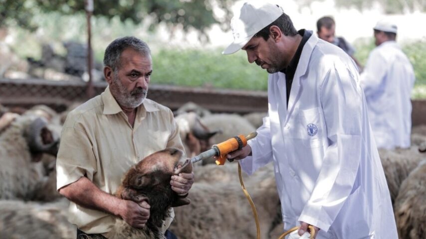Προσλήψεις-«εξπρές» για την ευλογιά