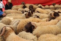 224 εκατ. ευρώ για την εξισωτική: Ποιοι ωφελούνται και τι αλλάζει