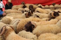 224 εκατ. ευρώ για την εξισωτική: Ποιοι ωφελούνται και τι αλλάζει